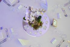 Hochzeit Djenita & Carl