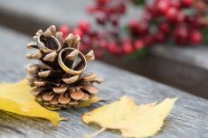Hochzeit Djenita & Carl