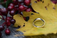 Hochzeit Djenita & Carl