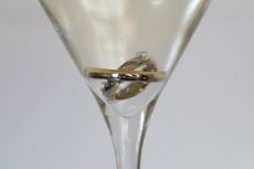 Hochzeit Djenita & Carl