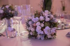 Hochzeit Djenita & Carl