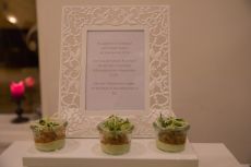 Hochzeit Djenita & Carl