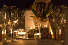 Hochzeit Djenita & Carl