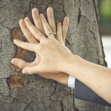 Hochzeit Cornelia & Michael