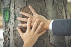 Hochzeit Cornelia & Michael